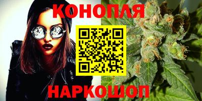 сатива Сланцы