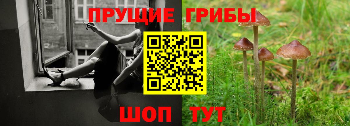 Псилоцибиновые грибы Psilocybe Азнакаево